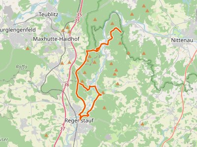 PR - Burgensteig 3 Regental (Rote Feder)