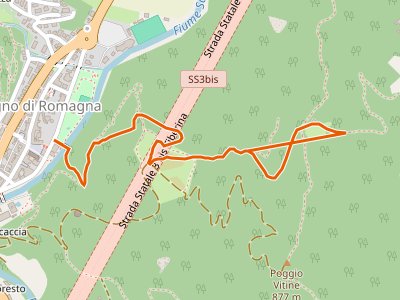 CAI-167B - Bagno di Romagna - Larciano