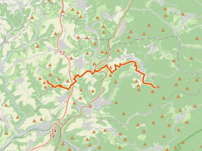 PR - Pfälzerwald Blauer Punkt  Hauptstuhl = Leimen
