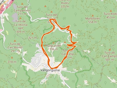 SL-C-110. De Vallgorguina a Olzinelles