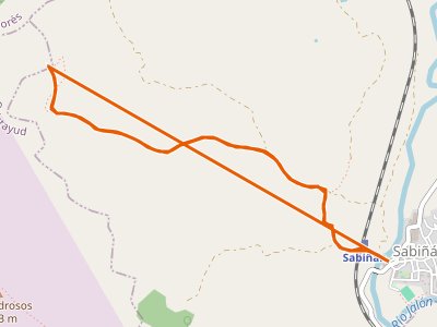 SL-Z-061. Sabiñán-Enebro de Sabiñán