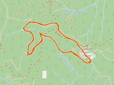 SL-C-073. Les Alzines de Can Portell