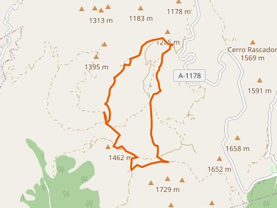 PR-A-319. Las Encinas Milenarias de Serón