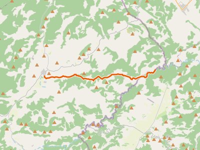 PR-TE-083. Virgen de la Estrella