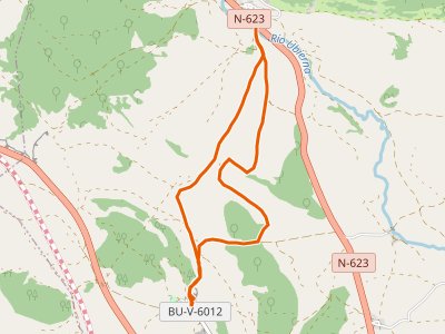 PR-BU-209. Sendero del Camino de Castrillo