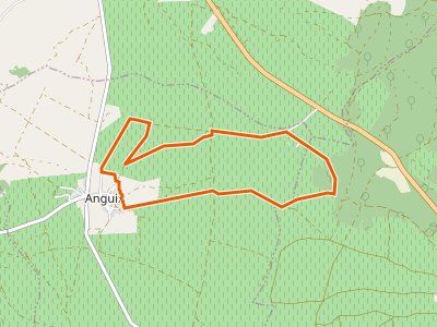 PR-BU-027. Entre vaso y espaldera