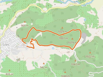 PR-A-074. Siles-Siles