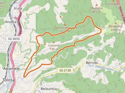 PR-GI-115. Ibarra-Ibarra