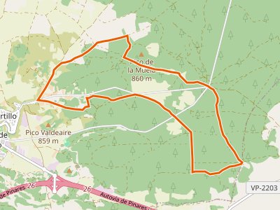 PR-VA-031. Pino Pinilla