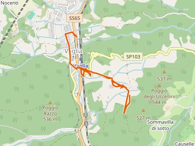 CAI-60 - Caldine - Campomigliaio