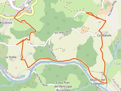 CAI-528 - Olina - Olina