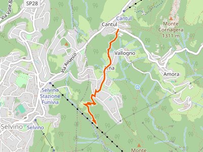 CAI-550 - Albino - Ama (Aviatico)