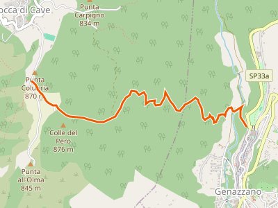 CAI-503 - Genazzano - Rocca di Cave