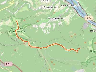 GR-R - Rheinhöhenweg 7. Etappe Oberwesel - Bingen (lrh.)
