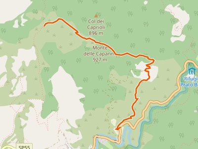 CAI-415B - SS 67 - Spunghe - Sentiero 415