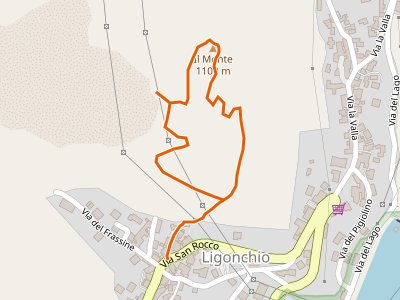 CAI-609B - Ligonchio - Il Monte