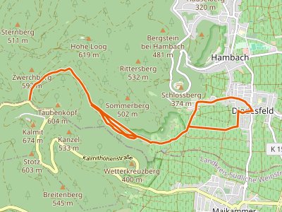 PR - Pfälzerwald Blauer Punkt #2