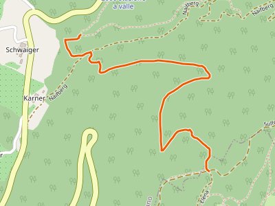 CAI-55 - Katzenleiter