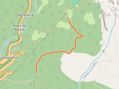 CAI-649B - Cerreto Alpi - Percorso 649