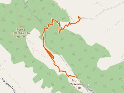 CAI-733 - Fontana del Gatto - Monte Siserno