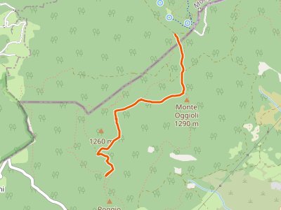 CAI-917A - Bivio percorso CAI 917 (Poggio Turchino) - Bivio percorso CAI 917 (Alpe di Monghidoro)