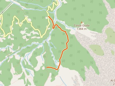 CAI-454 - Cibiana - Località Ciarezarego - dopo Casera de le Ronces - innesto sentiero 481