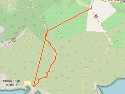 CAI-805D - Innesto 805 - Iscolelli