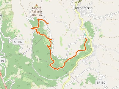 CAI-503 - Area Sportiva Tornareccio - Mura Megalitiche