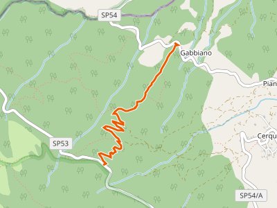 CAI-407 - Gabbiano - sp 53