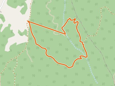 CAI-544 - anello abetito