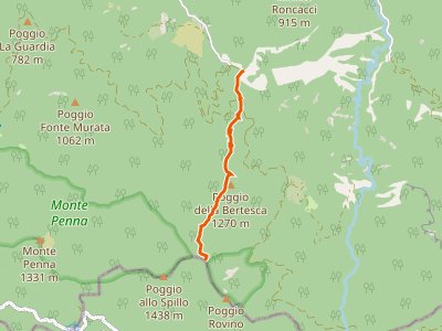 CAI-207 - Siepe dell'Orso - Passo della Crocina