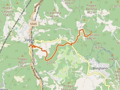 CAI-320V - Vaglia - Croce di Melago