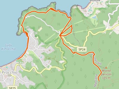 CAI-245 - San Martino - Procchio