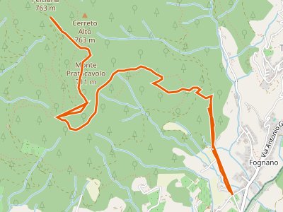 CAI-234 - Fognano - Poggio dei Ronchi