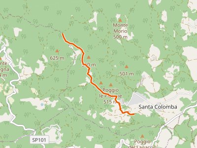 CAI-108 - San Colomba - Innesto sentiero 100