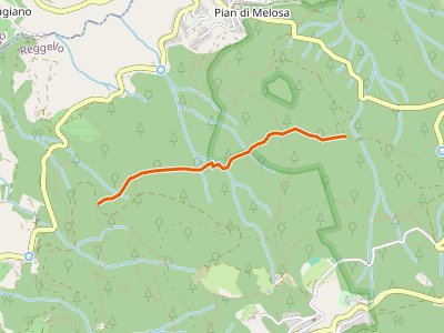 CAI-913B - Raccordo Sentiero 9 - Incrocio Sentiero 913