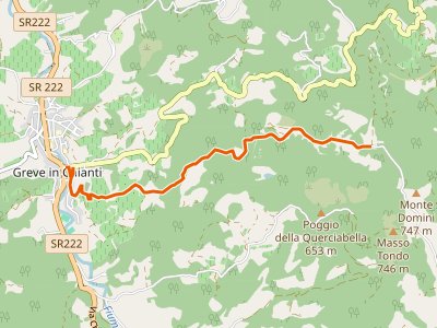 CAI-424 - Greve - Piano di Canonica