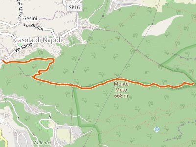 CAI-345B - Sentiero di Monte Muto