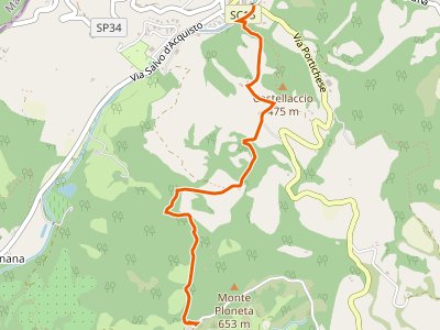 CAI-569 - Tredozio - Percorso CAI 553 (Villaggio Monte Freddo)