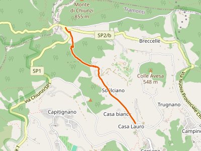 CAI-310B - Incrocio 310 (Loc. Casa Lauro) - Valico di Chiunzi