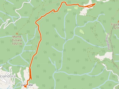 CAI-24 - Lupinaia - Innesto sentiero 22