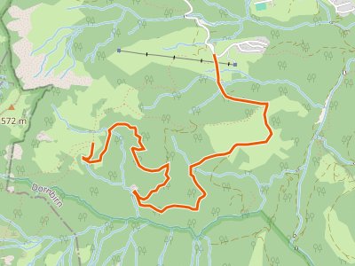 PR - Heumöseralpe - Schneewaldalpe