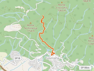 CAI-272 - Gavinana - Monte Terminaccia