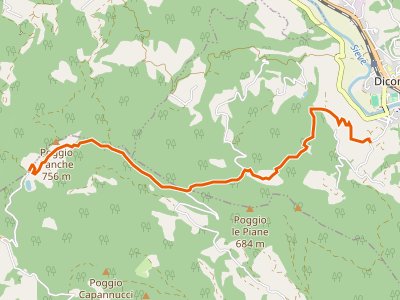 CAI-15 - Celle - Tamburino