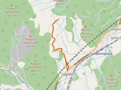 CAI-17 - Lago di Bilancino - Tagliaferro