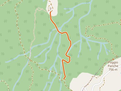 CAI-311B - Percorso 311 - Monte Tamburino