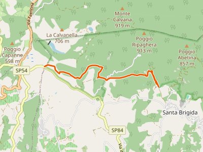 CAI-208 - Le Lucole - Valico Alberaccio