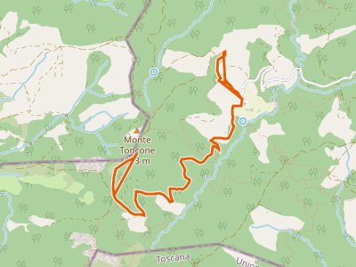 CAI-645 - Anello di Fontana Moneta