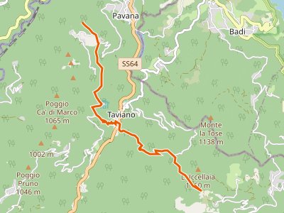 CAI-165 - Treppio - Innesto sentieri 155 e 161