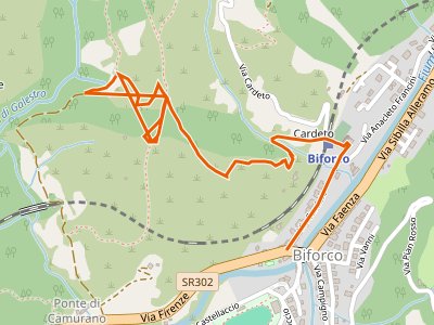 CAI-525 - Biforco - Ponte di Camurano